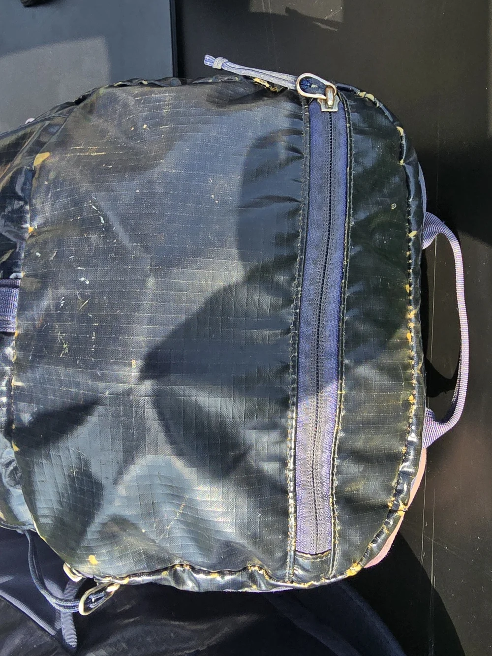 Patagonia Black Hole 25 Men's Navy Backpack Glossy Tpu